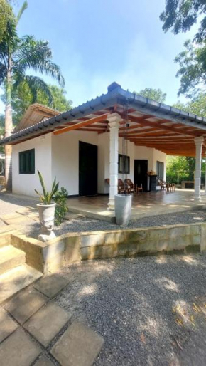 Pumpkin eco villa